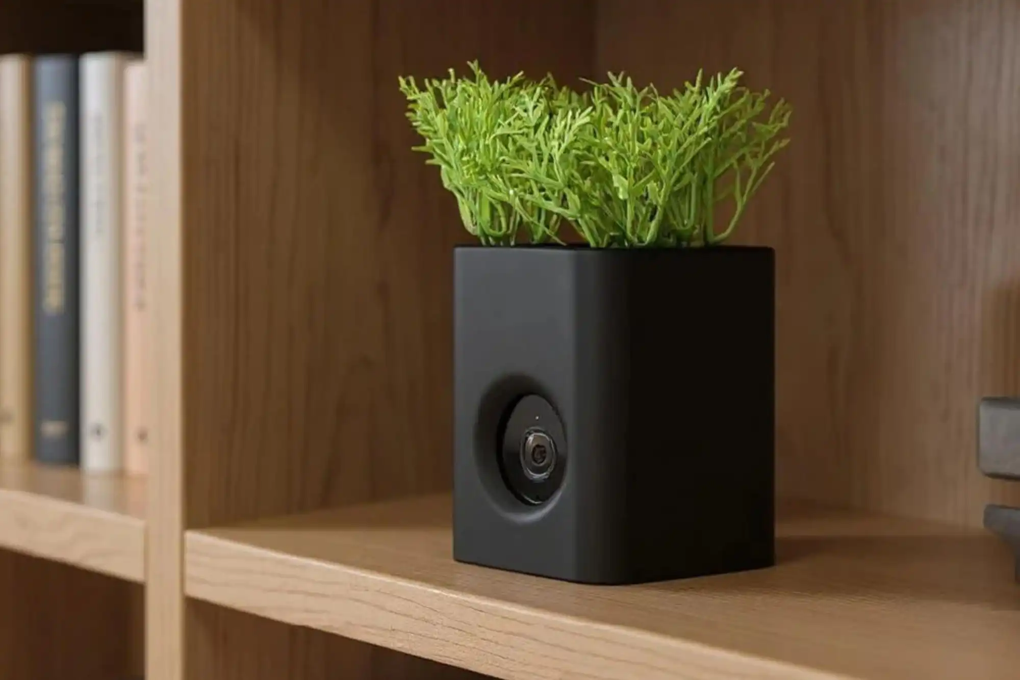 wyze vase cam